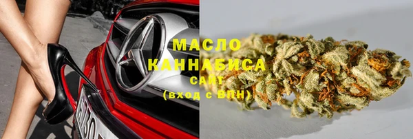 хмурый Бородино