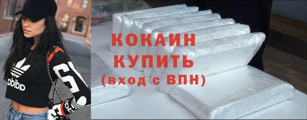 хмурый Бородино