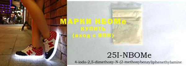 хмурый Бородино