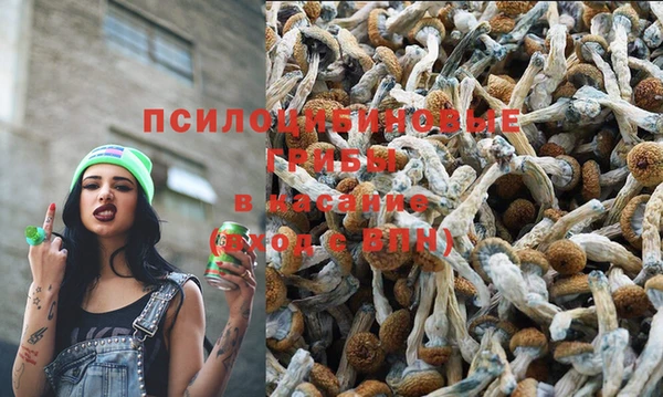 дживик Бугульма