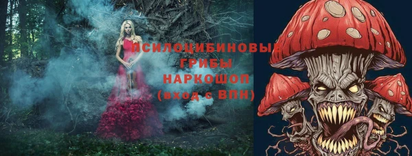 хмурый Бородино
