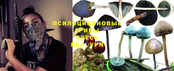 дмт Бронницы