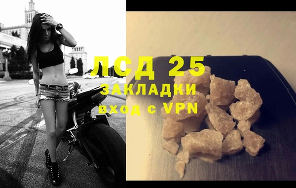 хмурый Бородино