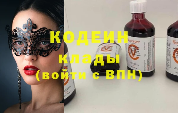 хмурый Бородино