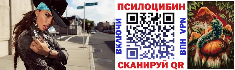 Псилоцибиновые грибы мухоморы  MEGA рабочий сайт  Хабаровск  купить наркотики цена 